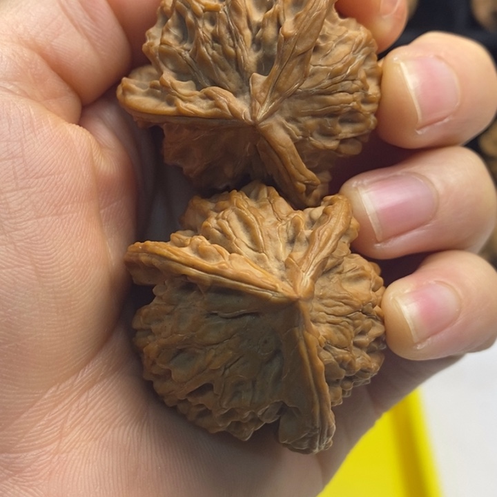 无花朵您好请问你们