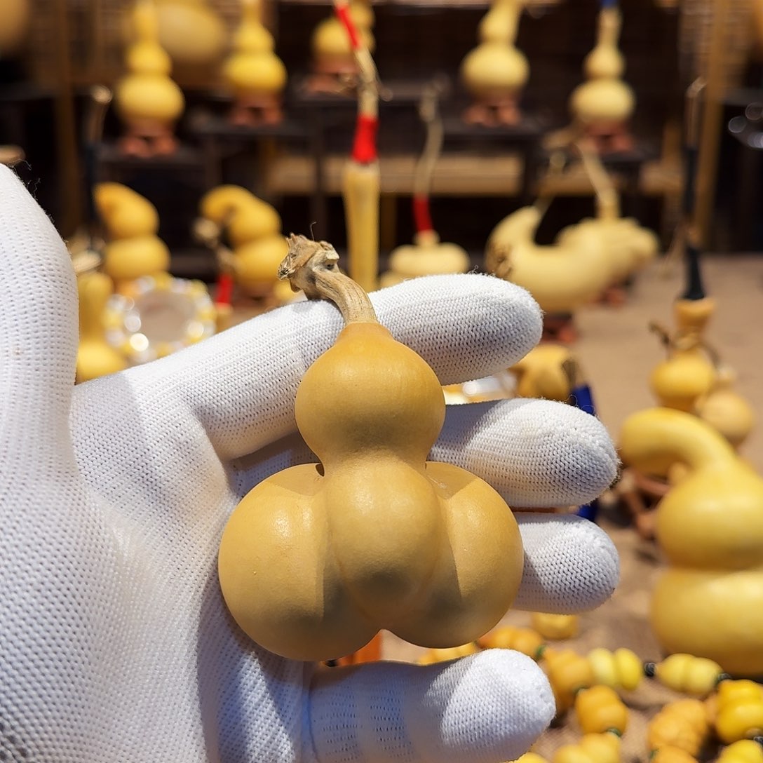 皮***丢葫芦手把葫芦一把主播