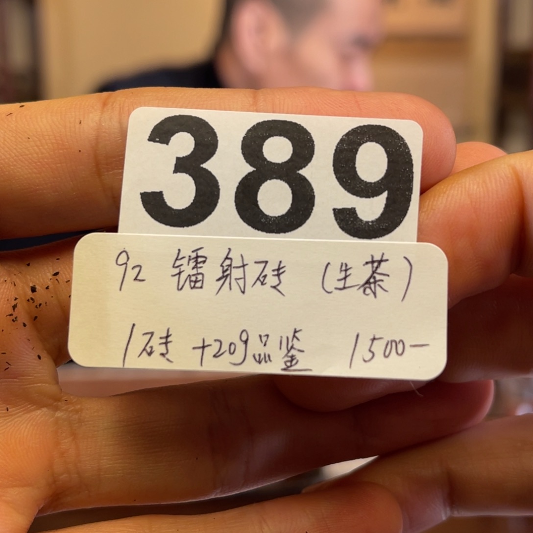 紫砂茶壶389……………..