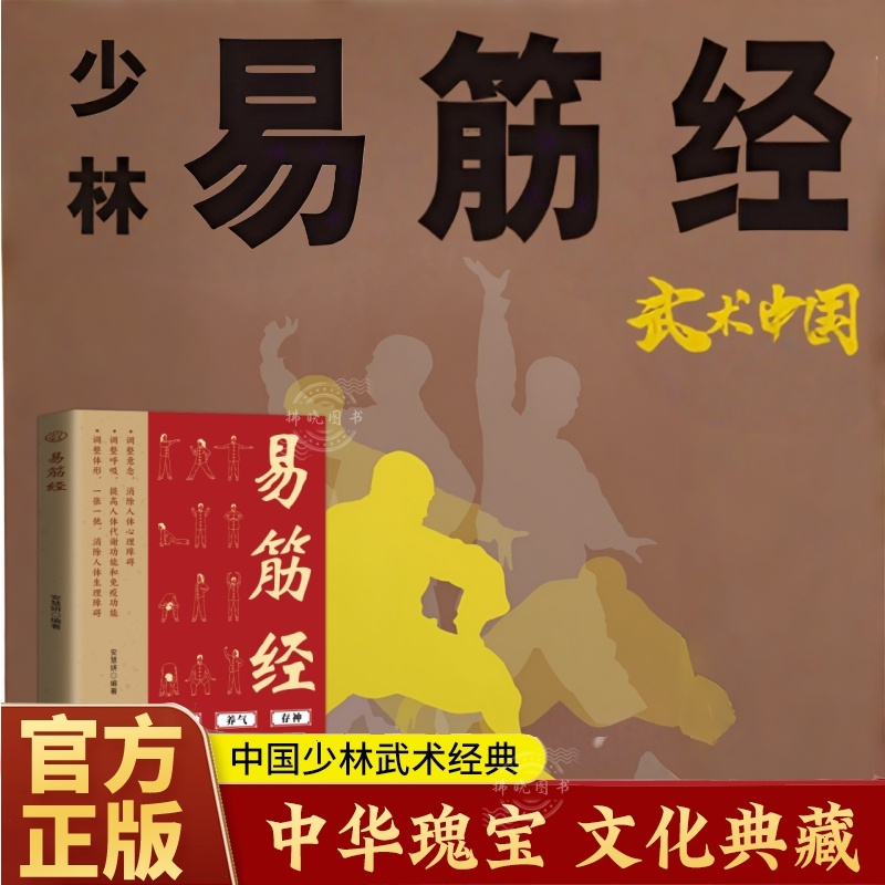 少林易筋经 易筋锻骨通玄脉固本培元贯长虹传承传统中华武学精髓