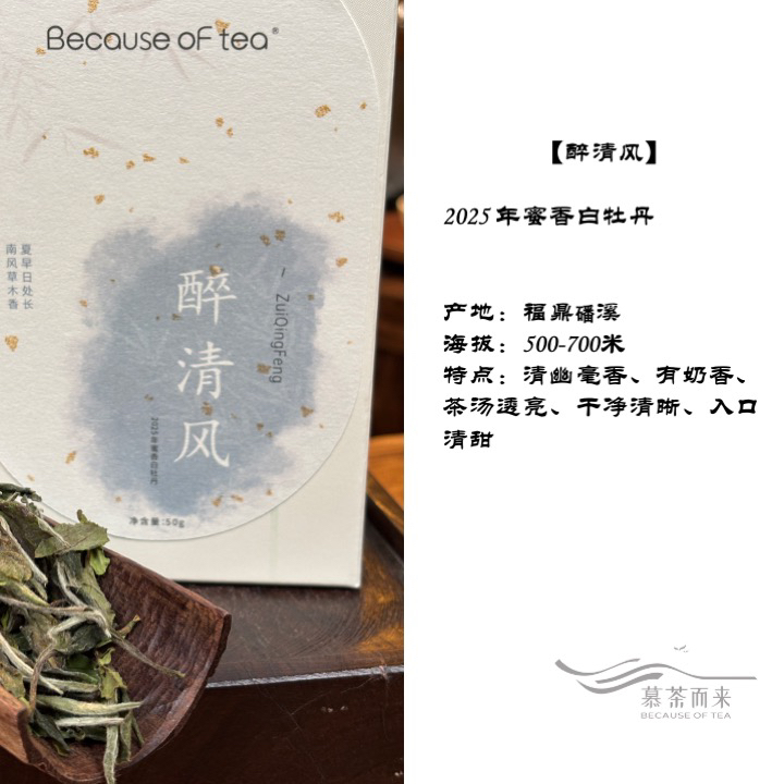 【新品牡丹】醉清风·2025年白牡丹白茶毫香花香水甜蜜韵