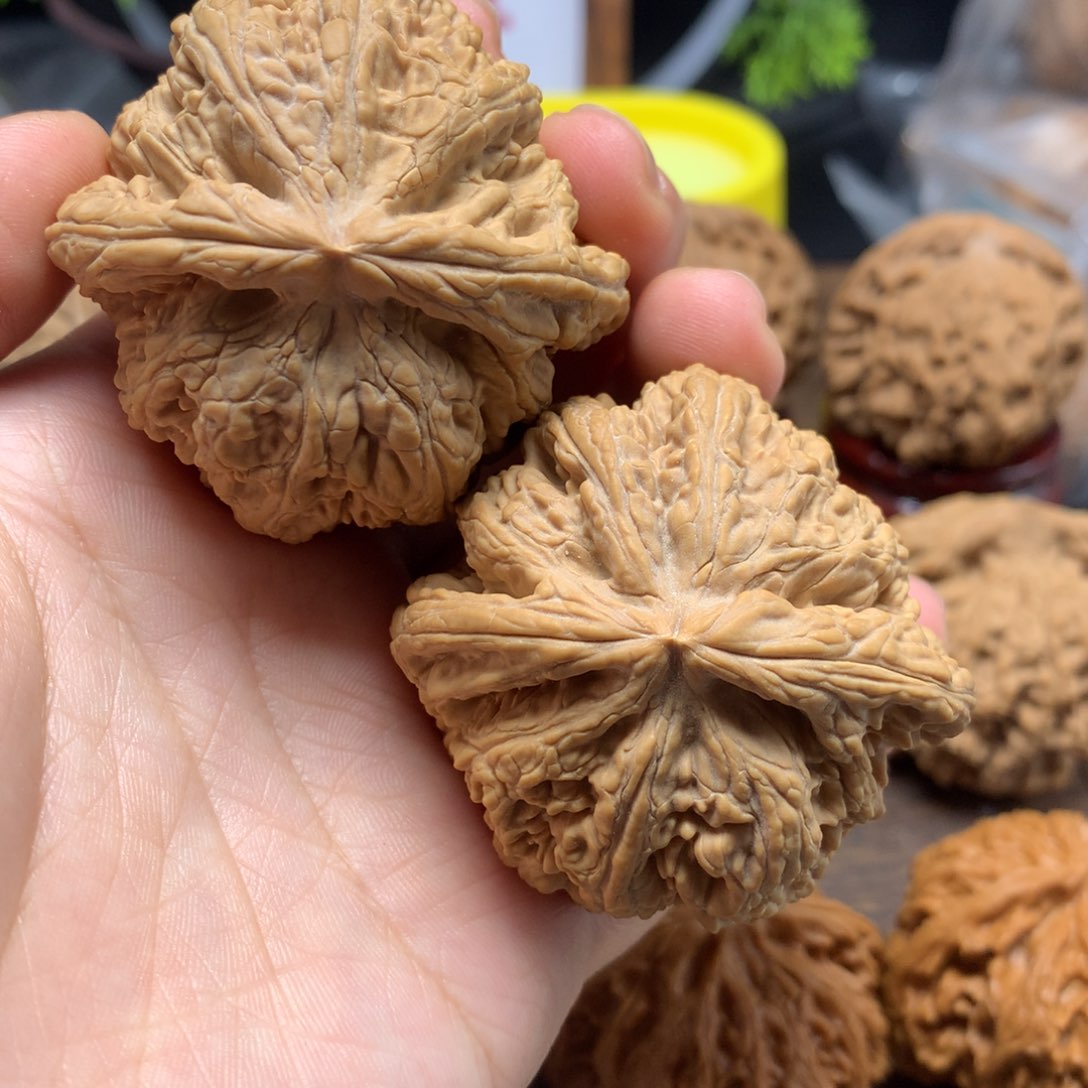 文玩核桃吊坠48全品粗筋