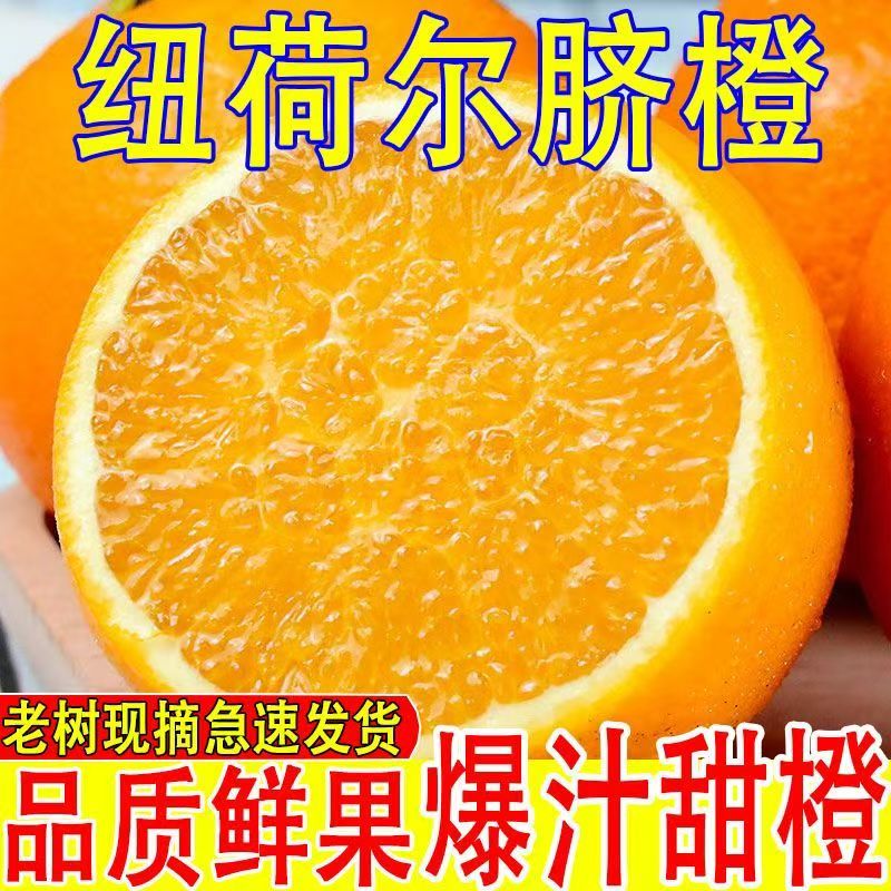 【下乡助农】正宗脐橙湖南纽荷尔新鲜现摘鲜甜多汁应季水果多仓发货