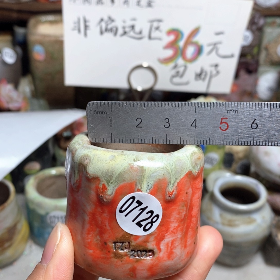 花盆拍3送一个小礼物