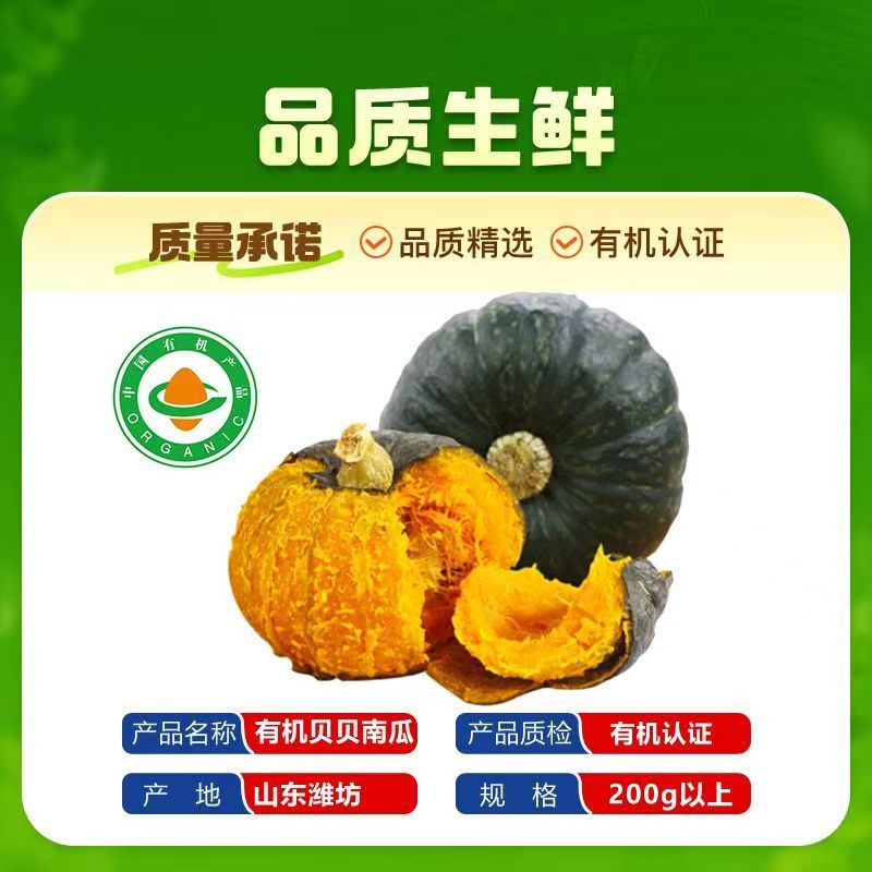 顺丰包邮有机贝贝南瓜粉糯香甜板栗味宝宝辅食