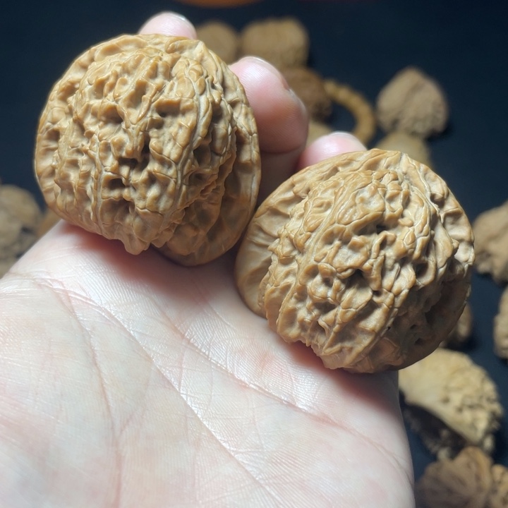 文玩核桃把件白狮子42mm