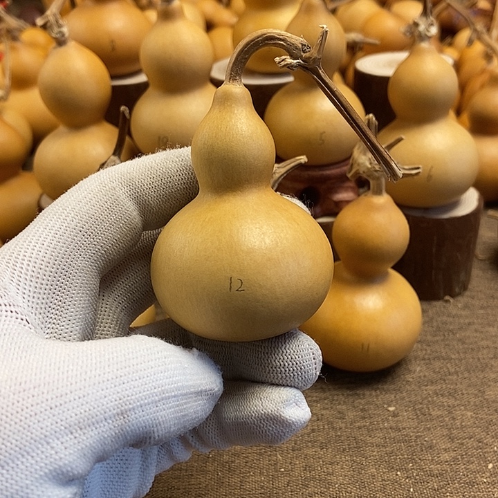 文玩葫芦 完美主义者 慎拍12