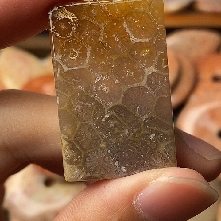 陌***暄硅化玉未镶嵌颈饰