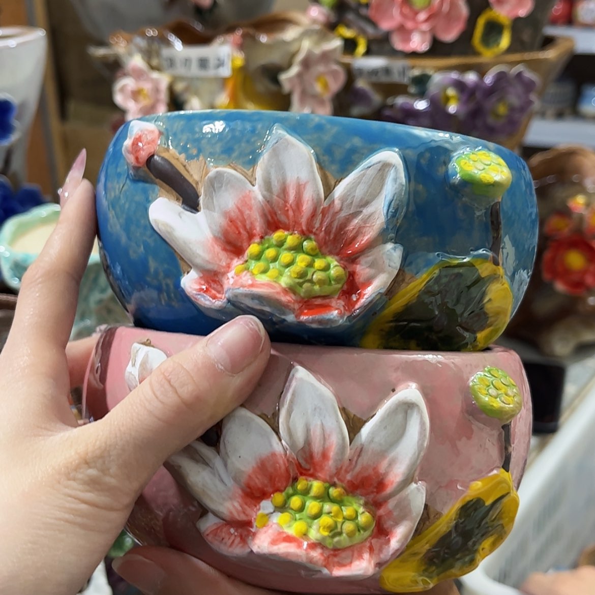 【闪购商品】红陶福利