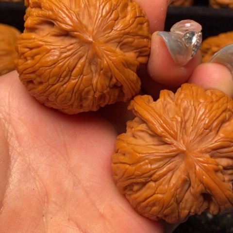 文玩核桃把件秦岭山脉核桃