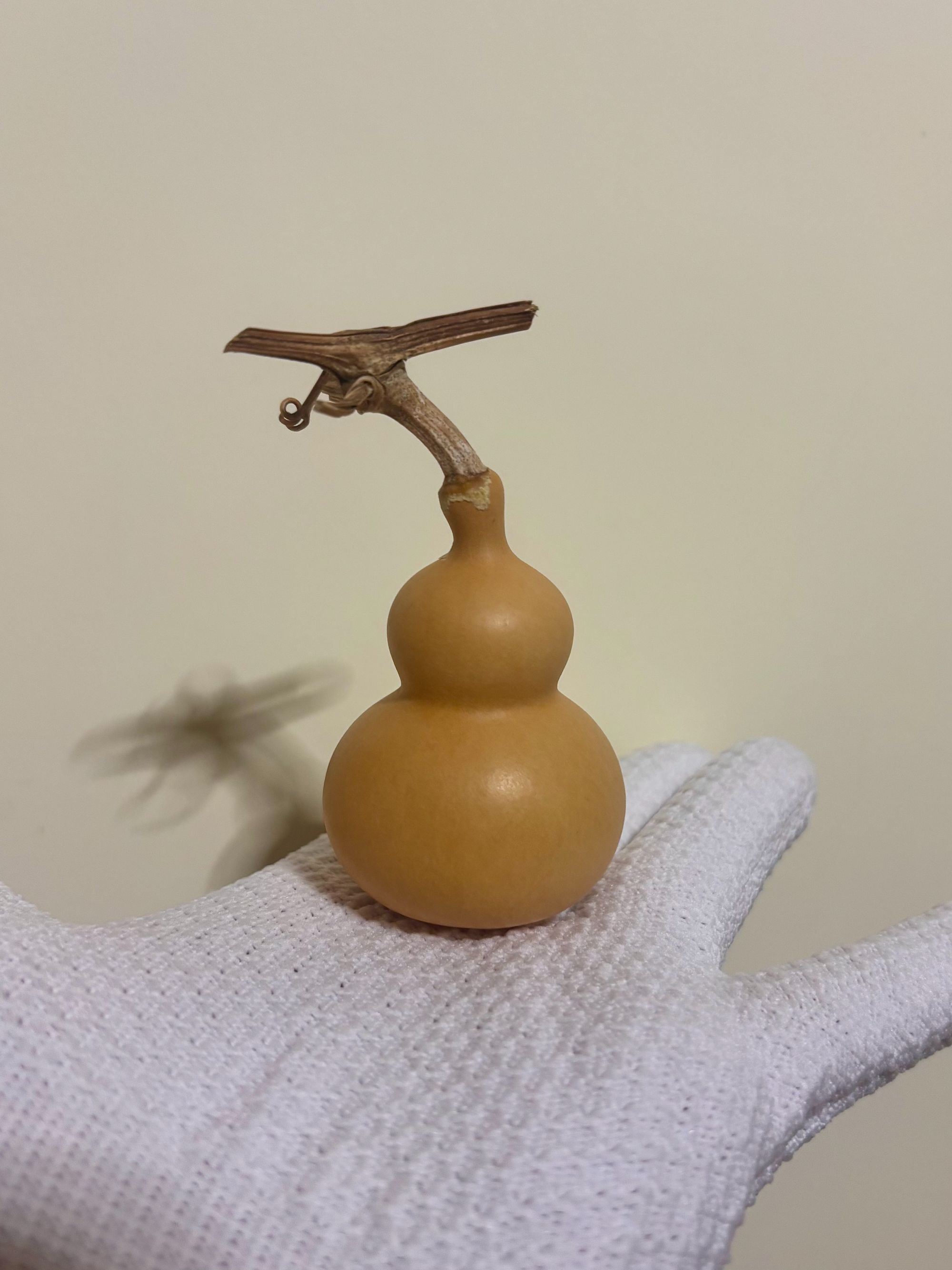 1号链接葫芦  直播间下单专用（100↓）