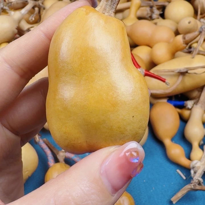 .*七失去如图看了几个看看