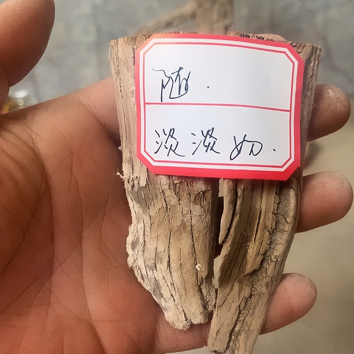 随***堂大叶紫檀（黑酸枝木类）