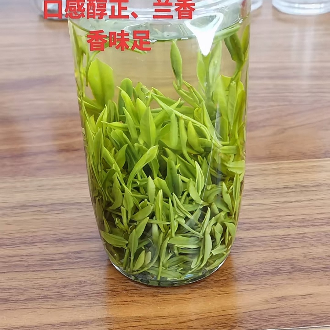 柯坦兰花高山兰香浓香耐泡