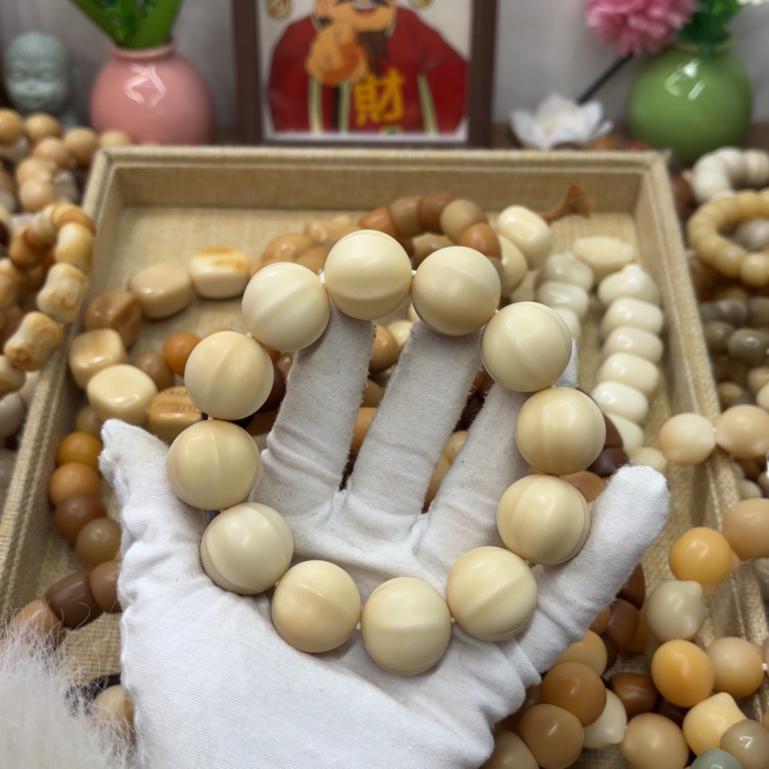 吊坠菩提根/象牙果22干磨牙果508鲨鱼背