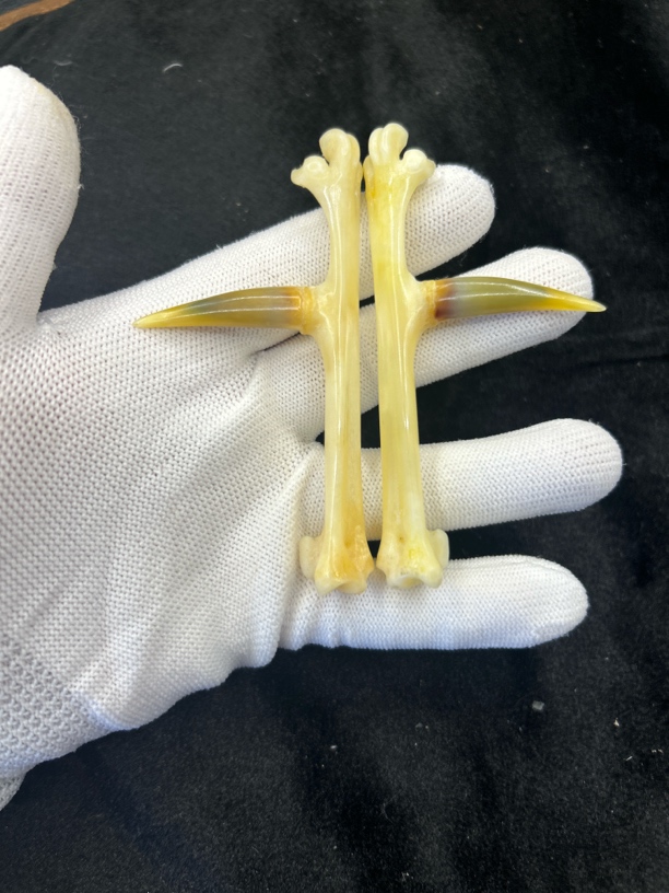 鸡爪骨鸡蹬子钥匙扣下单赠送油装饰手套
