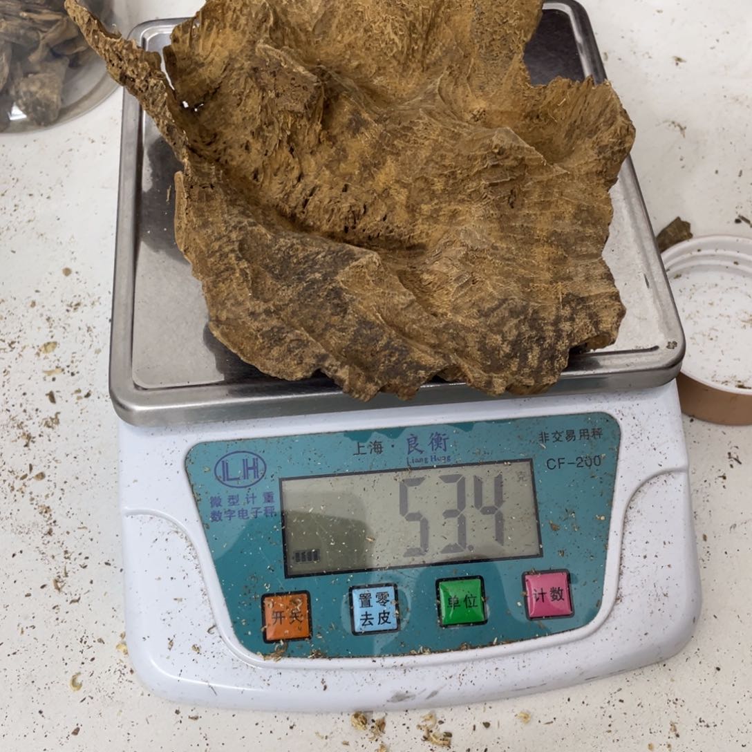 沉香摆件沈*彬海南沉香块料53克