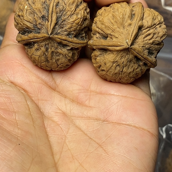 文玩核桃把件云南铁核桃1