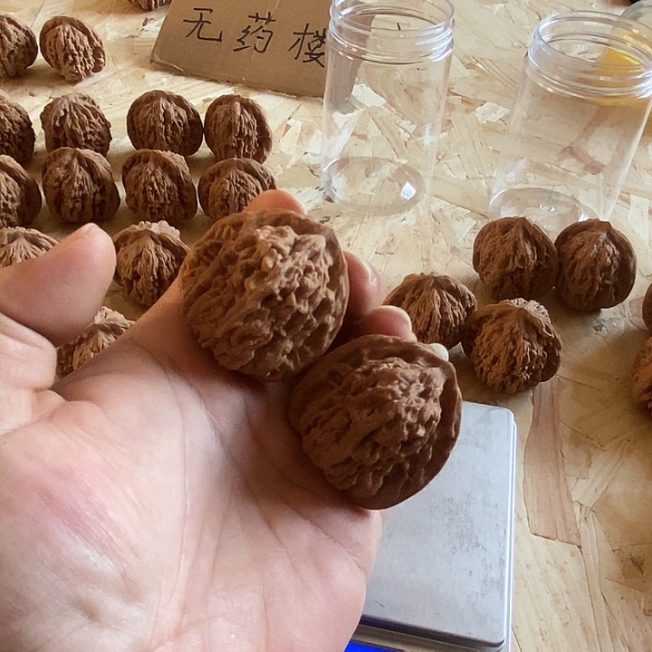 六***霍核桃全品无修无药43三角楼