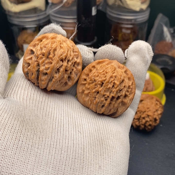 文玩核桃把件全品楼子40