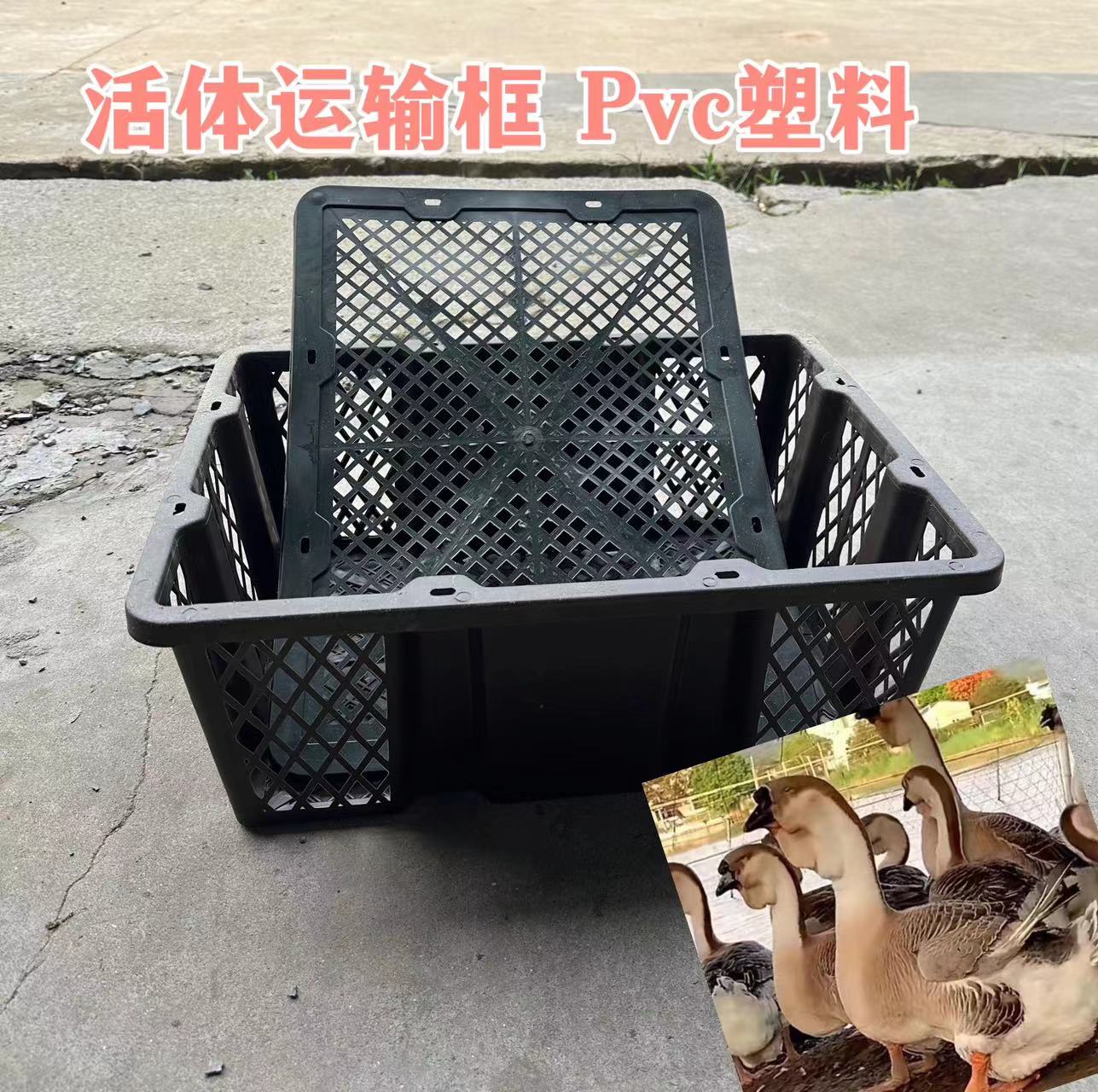 1号【1斤左右】专用运输筐 顺丰包邮