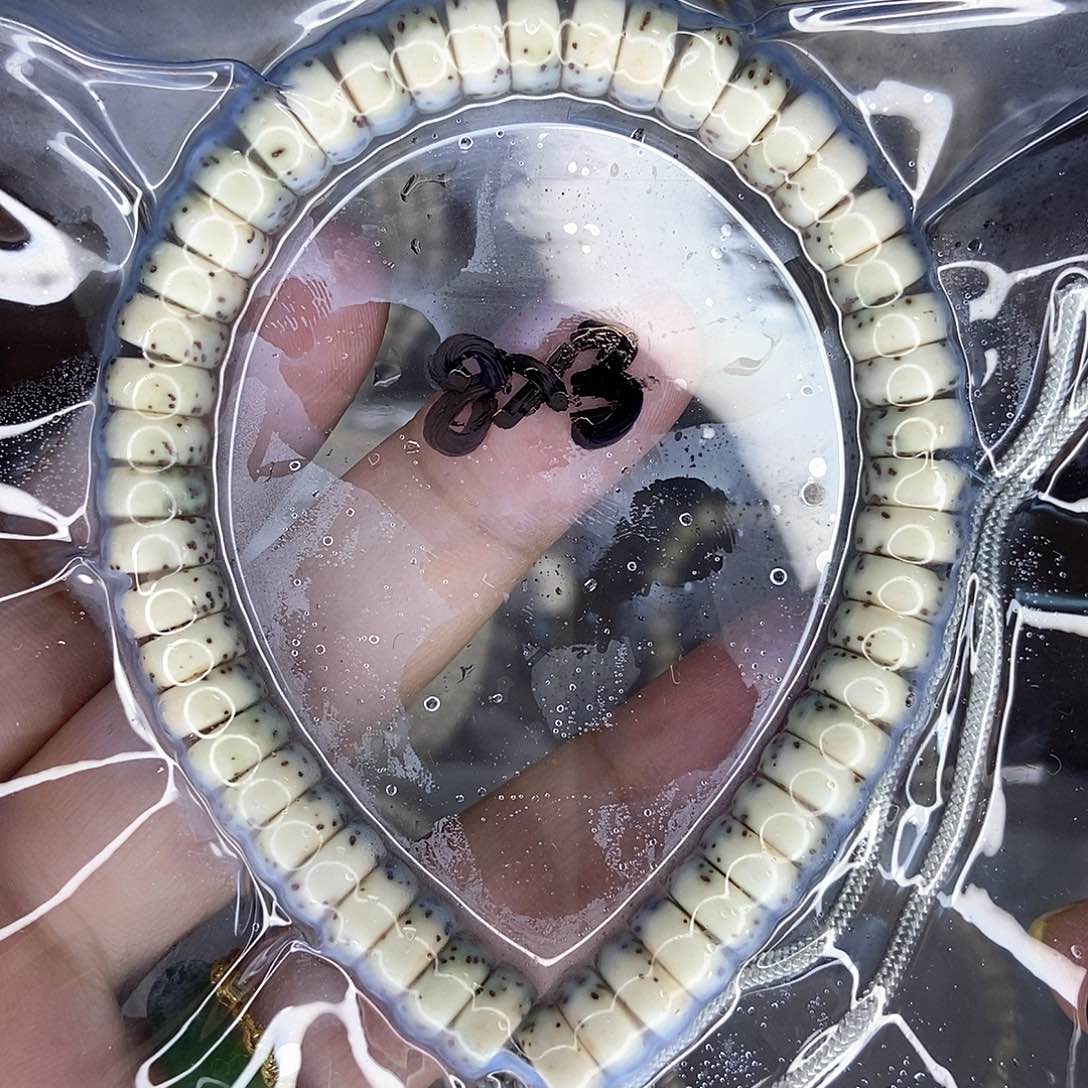 星月菩提手串星月