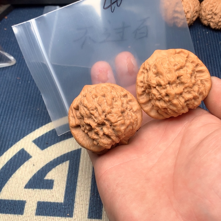 文玩核桃吊坠50龙鼎40