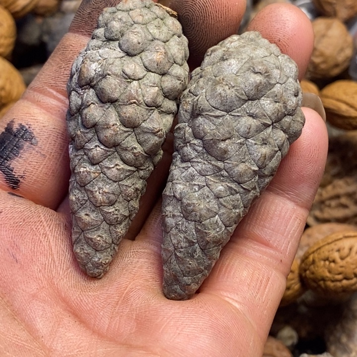 文玩核桃吊坠东北特产295