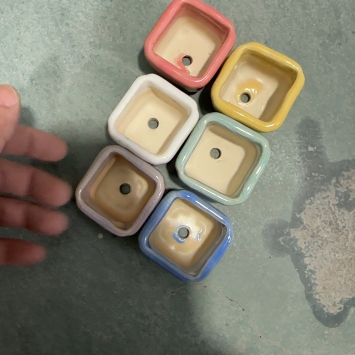 6个《所有单满15发（花盆）》