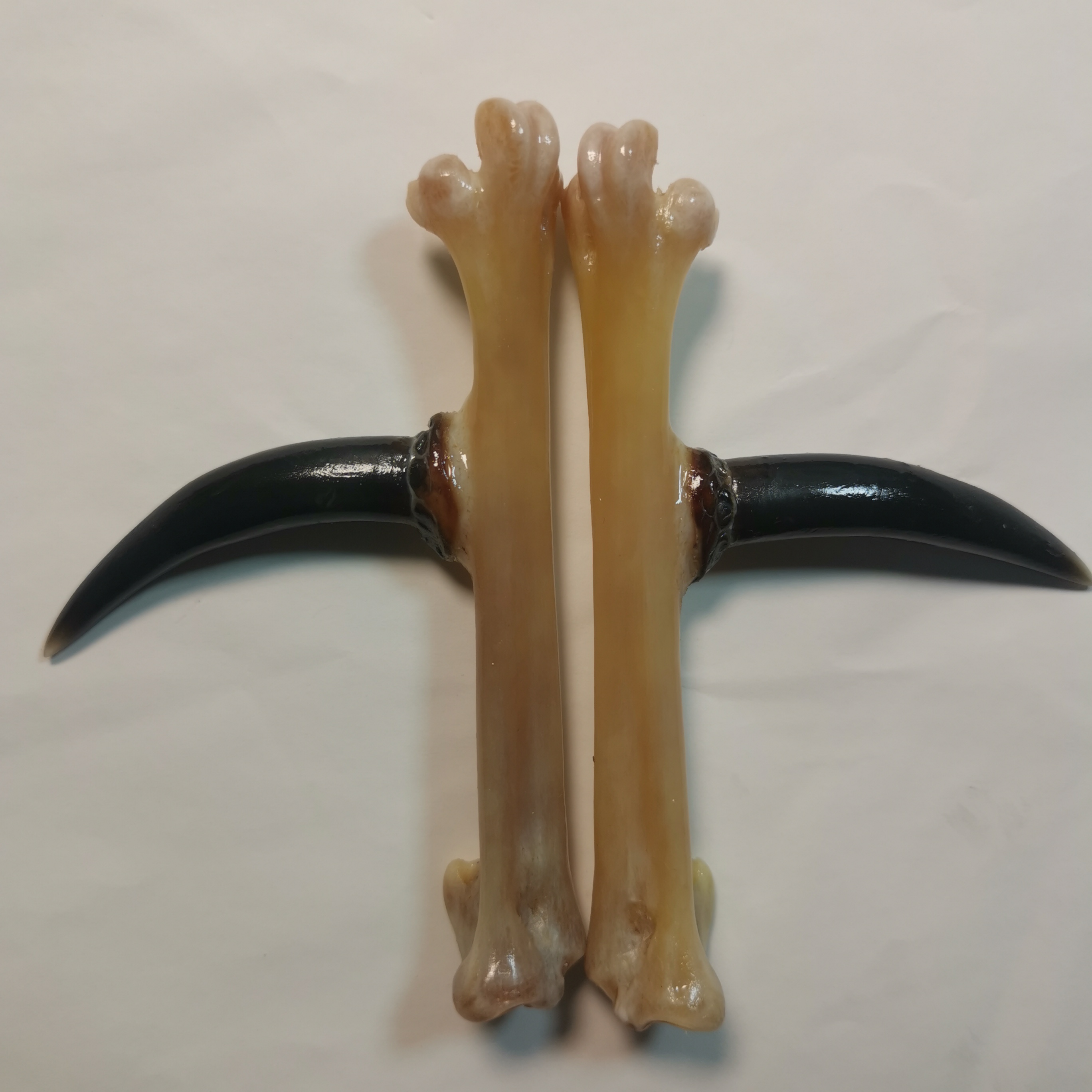 炫彩黑色蹬弯钩鸡爪骨文玩手把件对称个性鸡凳子