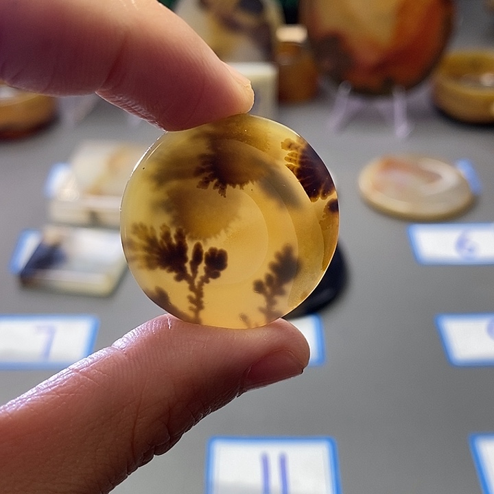 玛瑙/玉髓未镶嵌珠宝半成品169