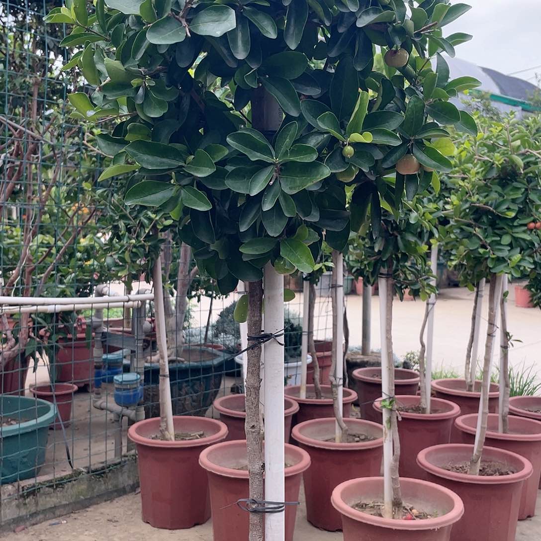 完全开放云***舒111111111