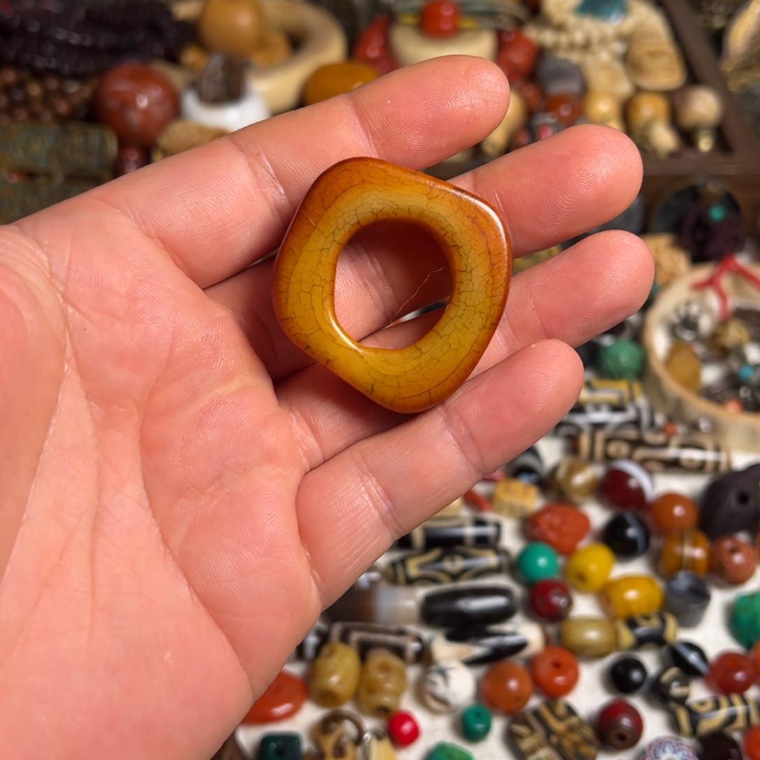 风车木（黑檀木）可**雪