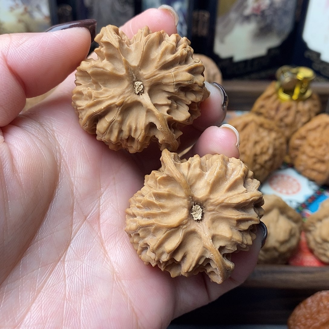 核桃苹果园狮子头