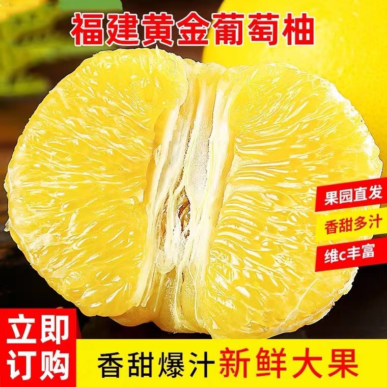 （送榨汁器）福建黄金葡萄柚新鲜带枝带叶新鲜采摘皮薄多汁清甜爆汁