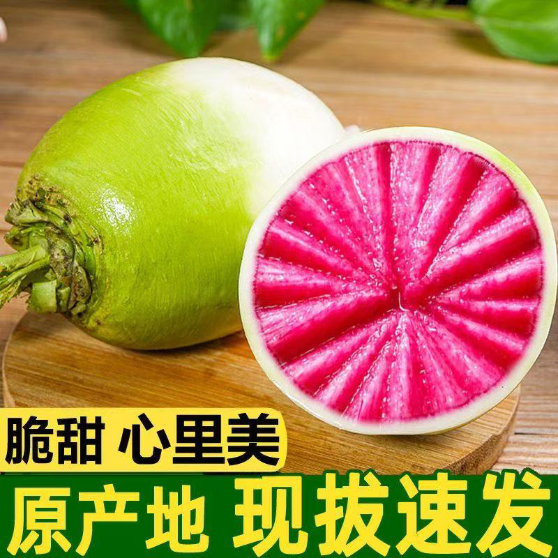 心里美萝卜满堂红新鲜水果萝卜绿皮红心胭脂萝卜生吃脆甜炒菜凉拌