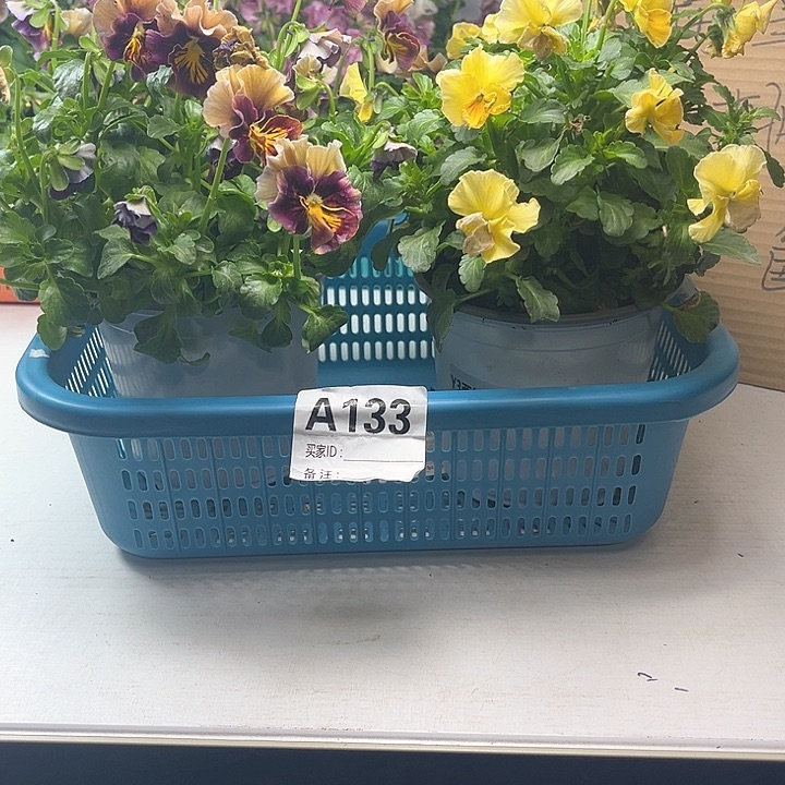 120大盆两盆清棚价19.9米