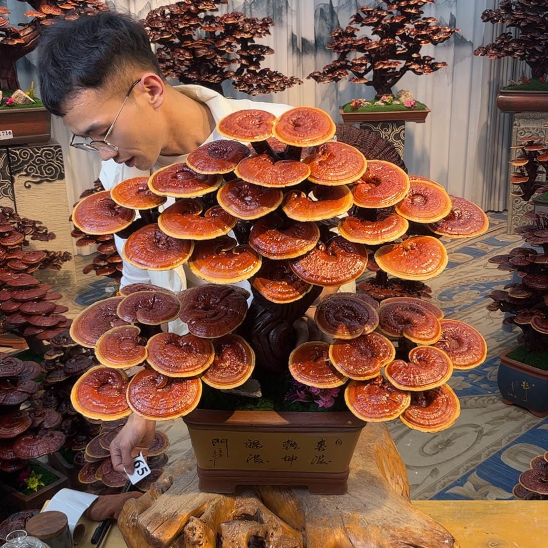 无花朵888888888888