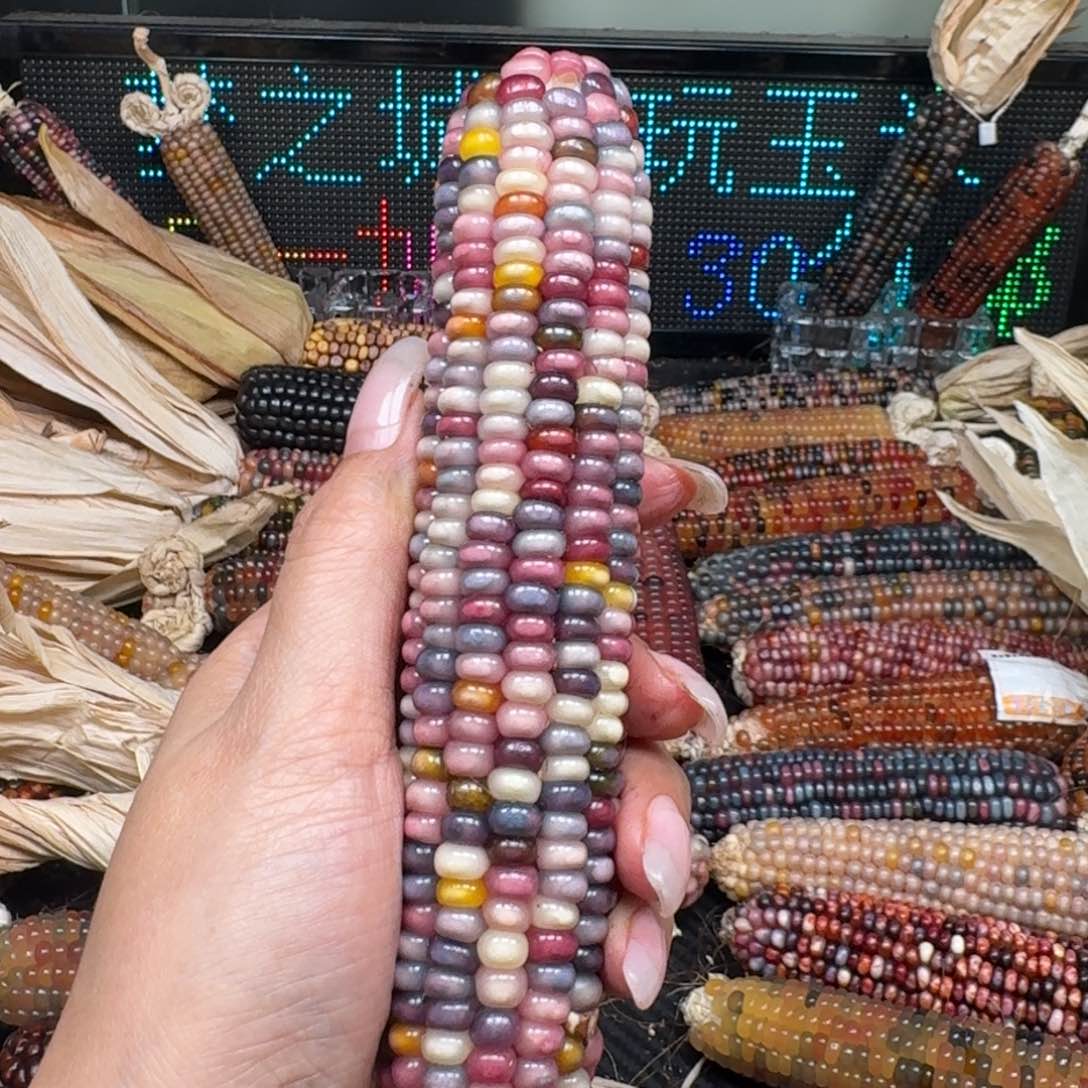 柏香籽/百香籽吊坠浮**梦