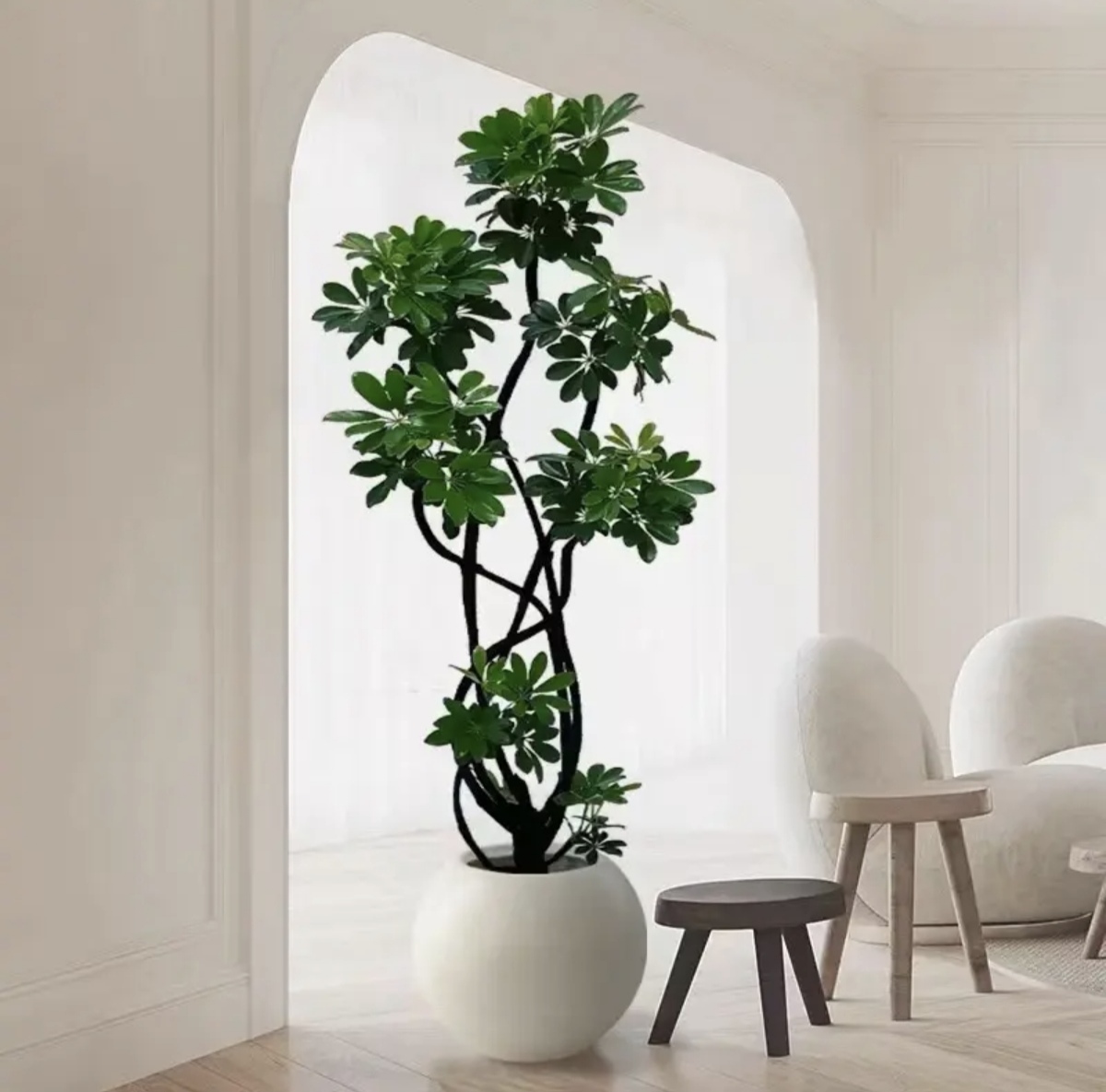 造型鸭脚木大型老桩盆栽客厅绿植落地好养真花卉室内落地植物摆件