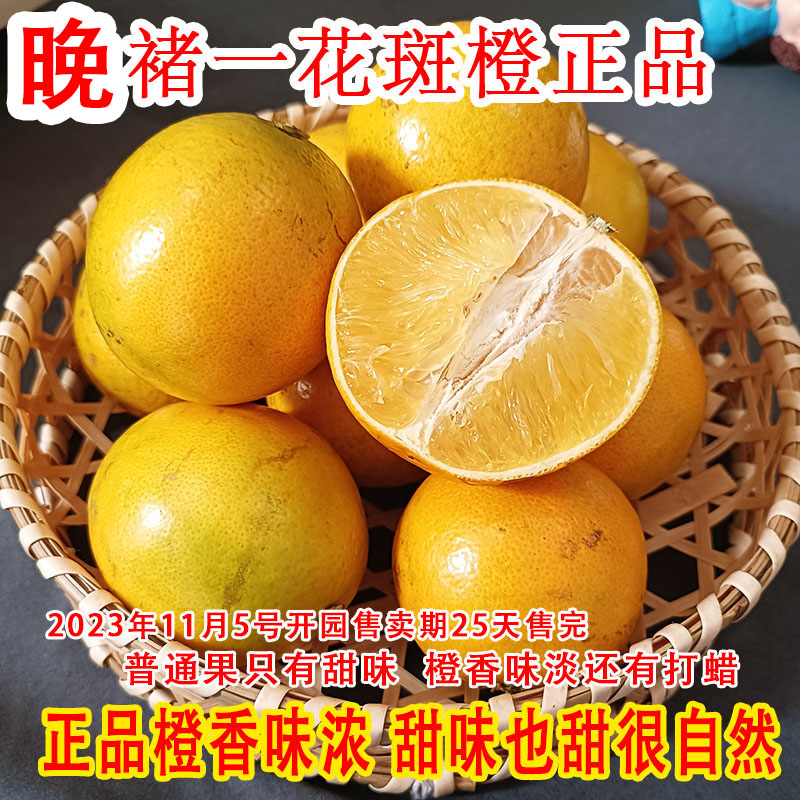 超甜晚褚花斑果云南哀牢山新鲜采摘冰糖橙当应季甜橙水果励志橙