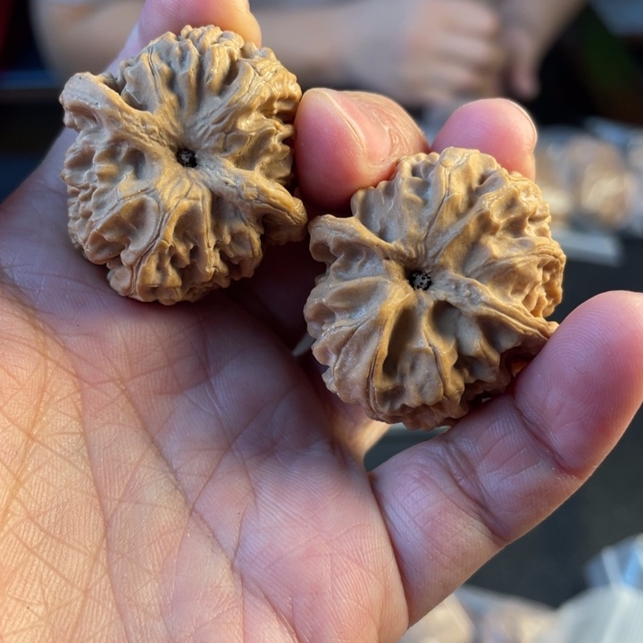 文玩核桃把件苹果园15.8