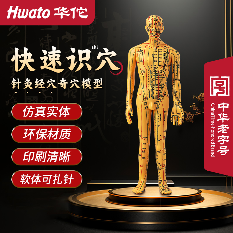 【华佗牌】男女模人体针灸模型中医经络穴位可扎针练习专用仿真皮人