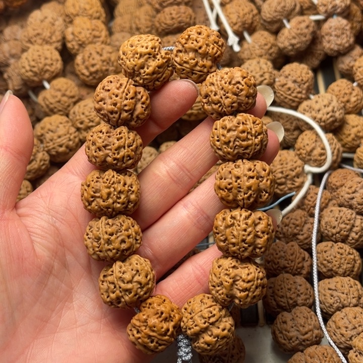 菩提尼泊尔大金刚蜂窝双龙梅花22