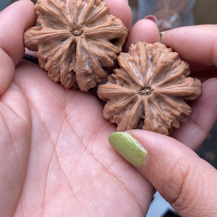 核桃暴雪43尺核桃