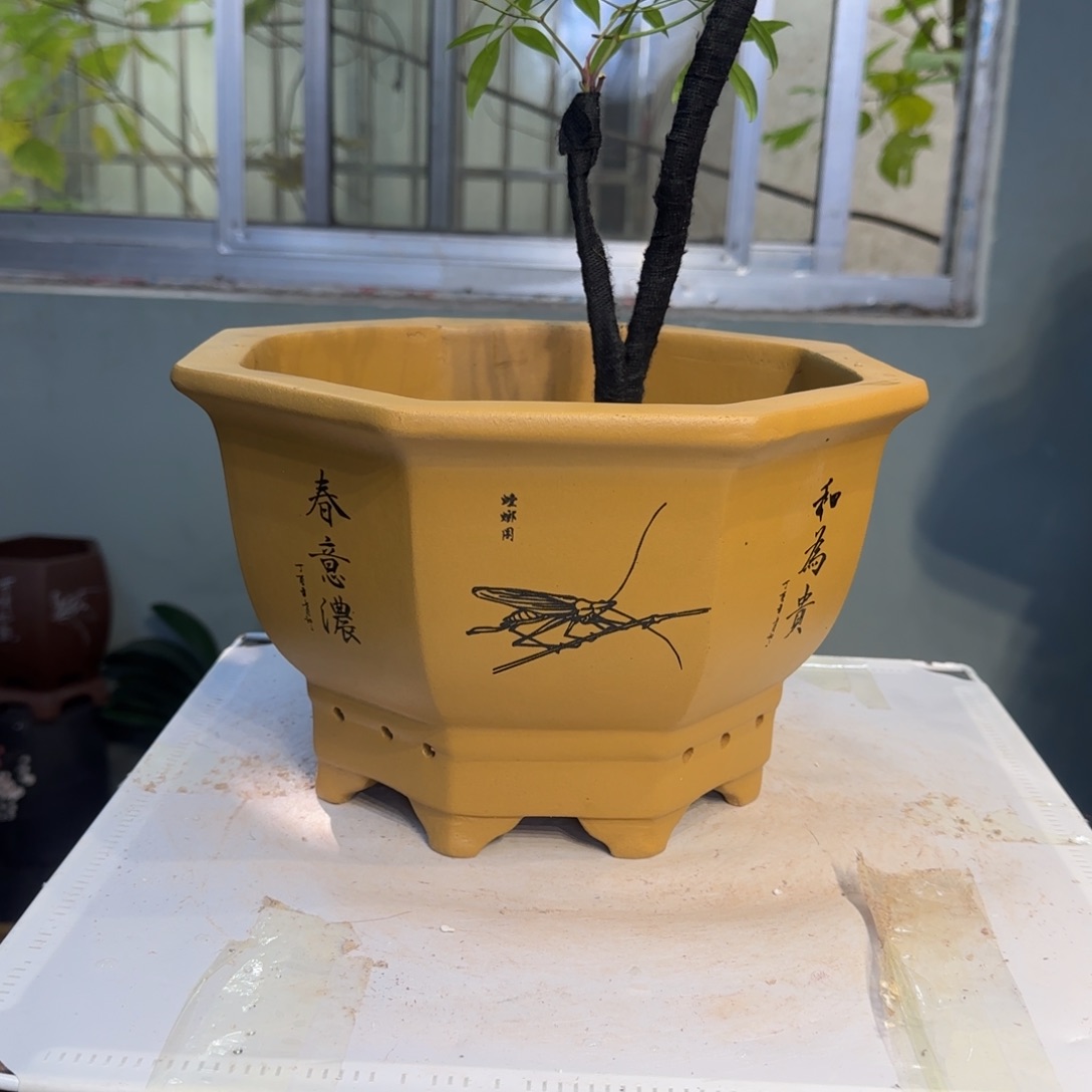 花盆紫砂产品尺寸27