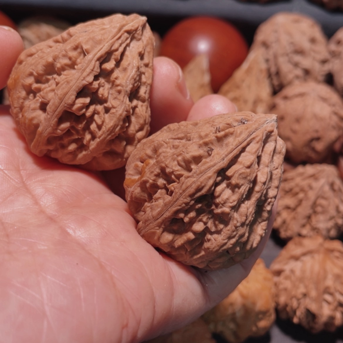【闪购商品】把件文玩核桃东北楸子14