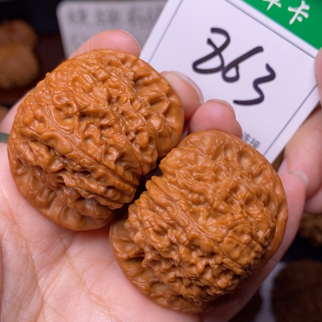 把件文玩核桃893血麒麟4.5