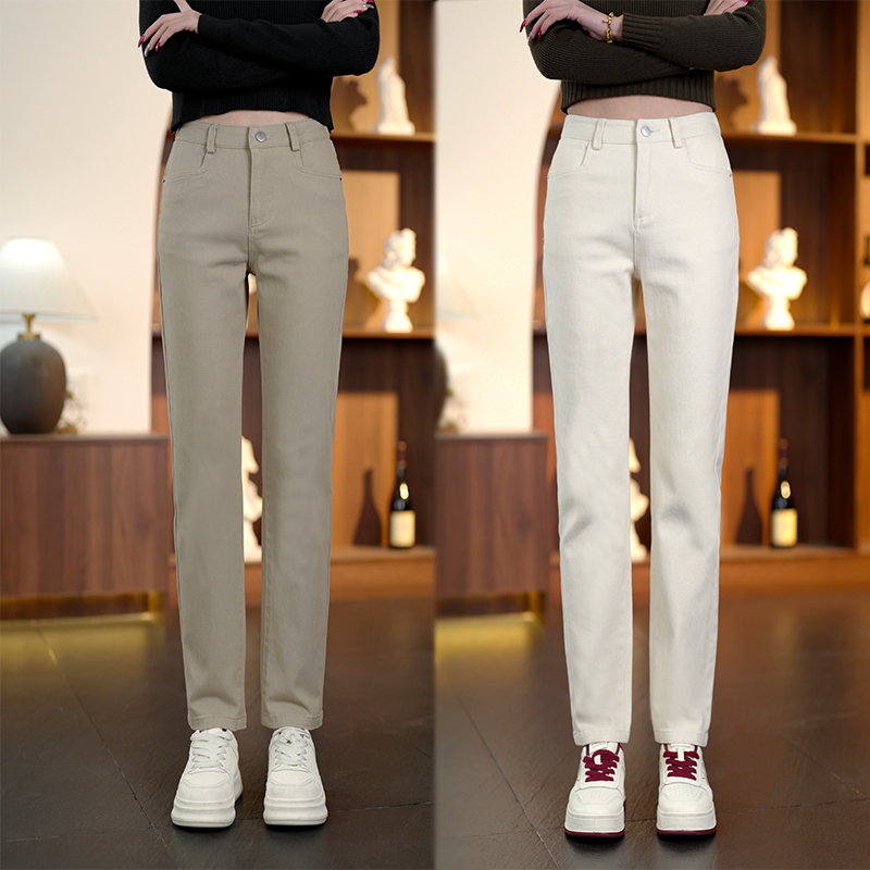 2025秋季新款烟管裤女显高显瘦修身百搭显气质时尚休闲弹力9819C