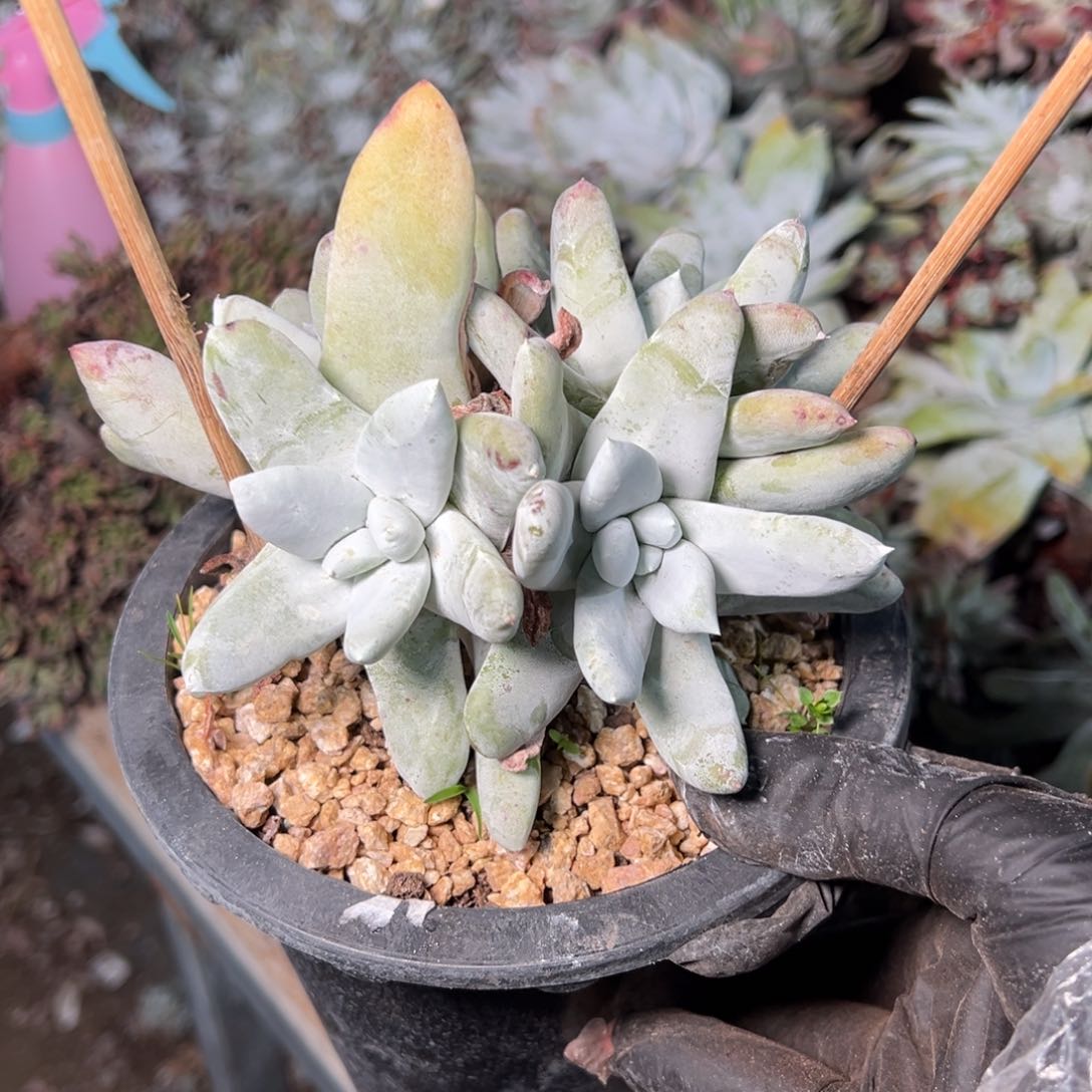 9038哈哈哈哈哈哈哈哈哈